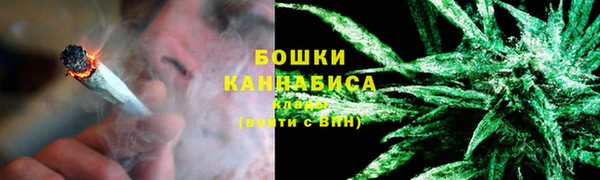 твердый Иннополис