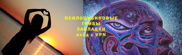 бошки Инсар