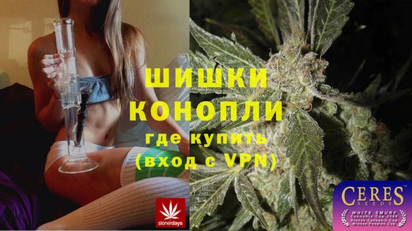 твердый Иннополис