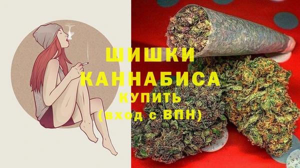 твердый Иннополис
