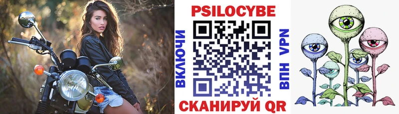Купить  Жигулёвск  Псилоцибиновые грибы Cubensis 