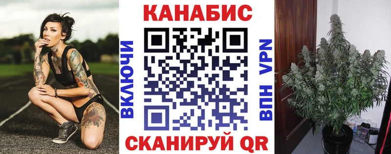 Конопля индика Купить закладки Жигулёвск